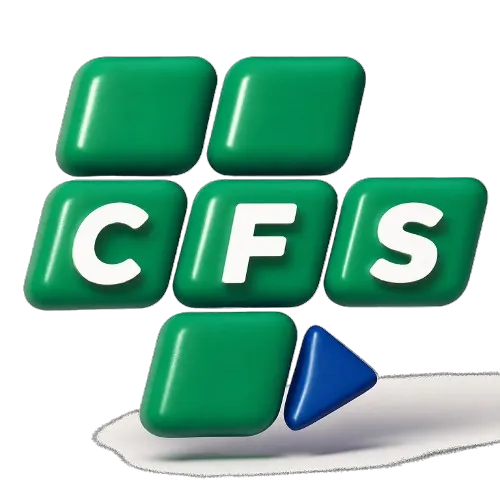 BCTC hợp nhất Beefast CFS